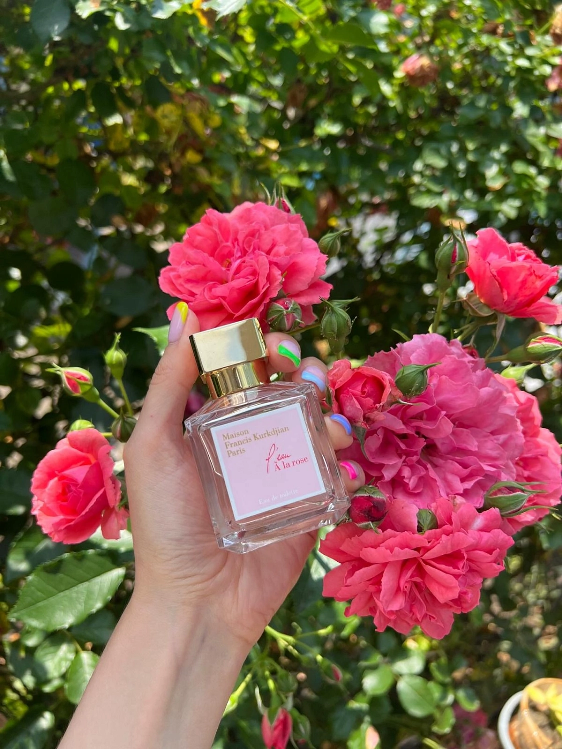 Maison Francis Kurkdjian L'eau A la Rose