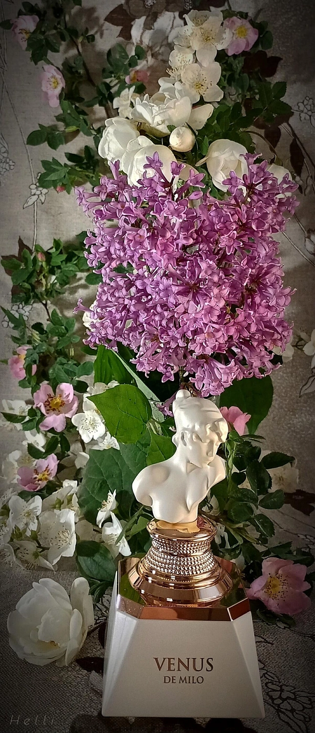 Fragrance World Venus de Milo Fragrance World Venus de Milo