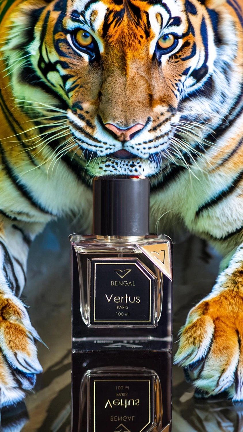 Vertus Bengal Vertus Bengal