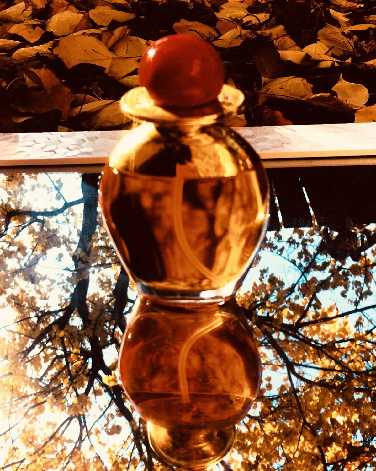 Bill Blass Hot Bill Blass Hot