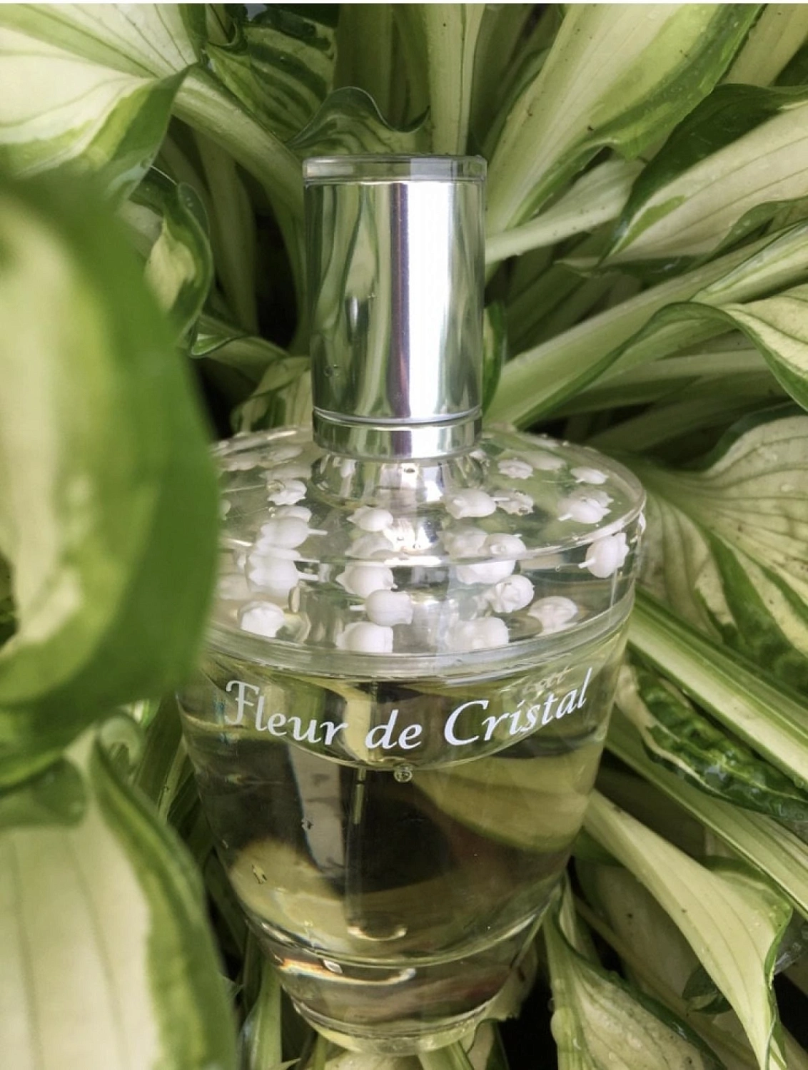 Lalique Fleur de Cristal