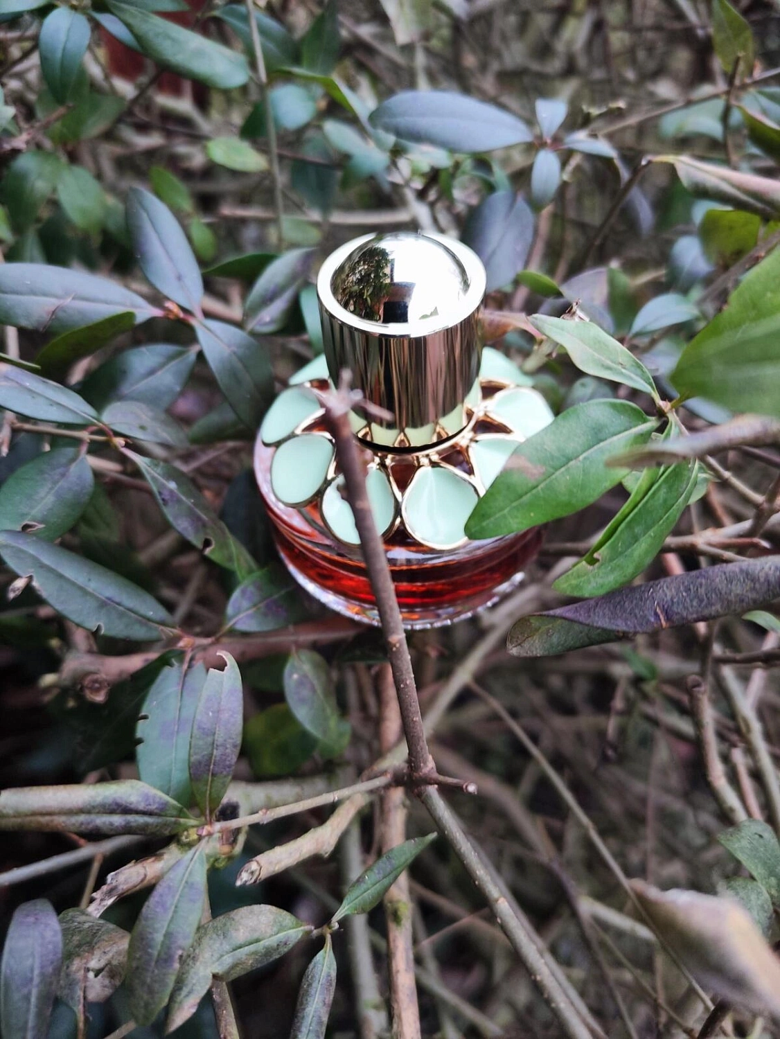 Elie Saab Girl Of Now Lovely