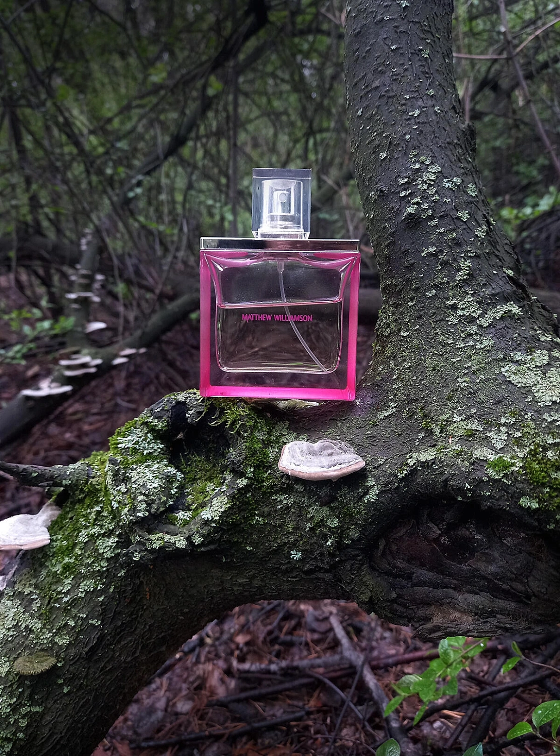 Hilary Matthew Williamson Incense