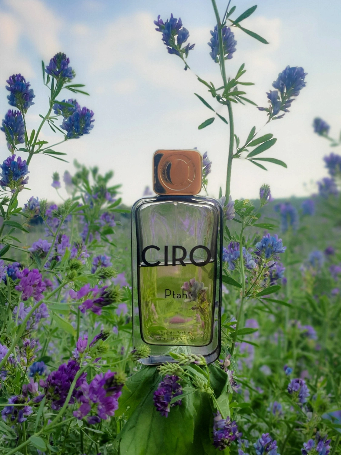 Parfums Ciro Ptah