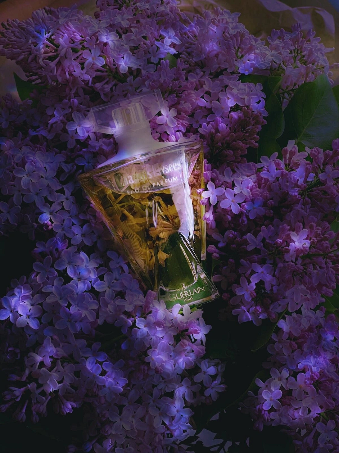 Guerlain Champs Elysees