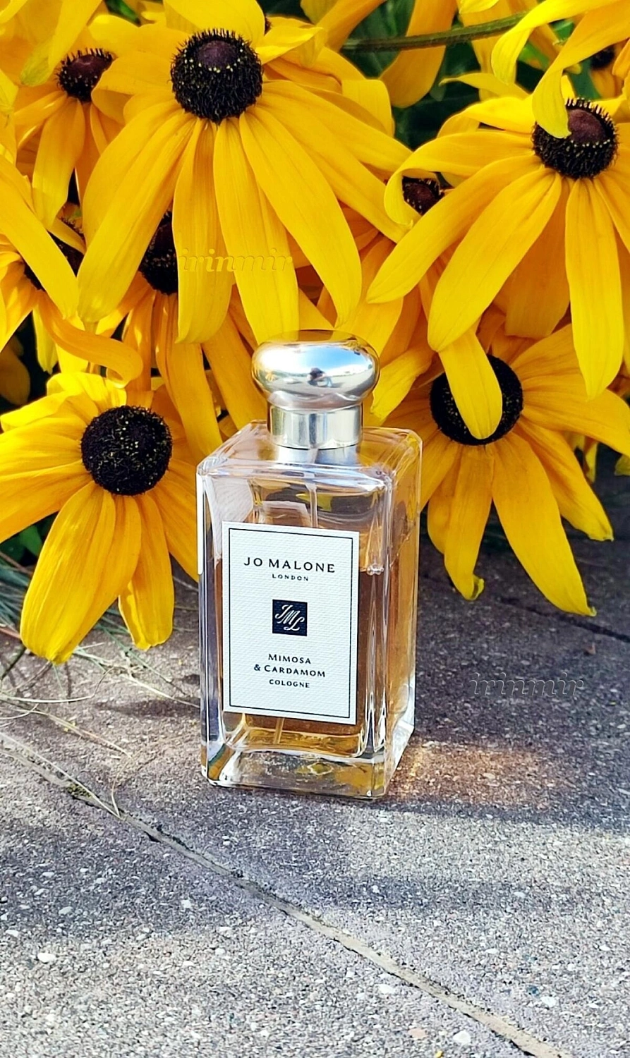 Jo Malone Mimosa & Cardamom
