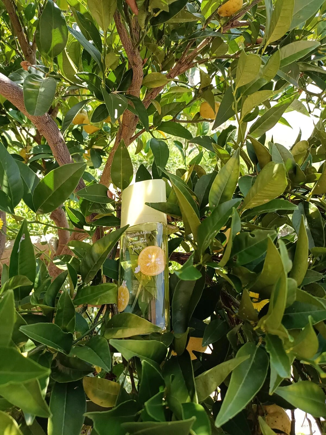 Elizabeth Arden Green Tea Yuzu Elizabeth Arden Green Tea Yuzu
