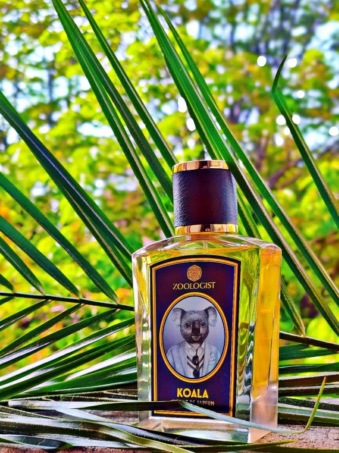 Zoologist Perfumes Koala