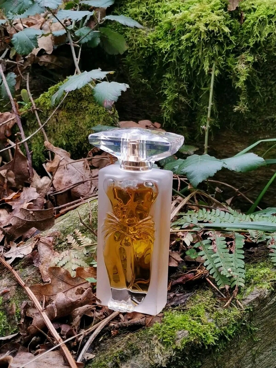 Salvador Dali La Belle et l’Ocelot