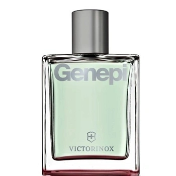 VICTORINOX Genepi туалетная вода, 100 мл тестер VICTORINOX Genepi туалетная вода, 100 мл тестер