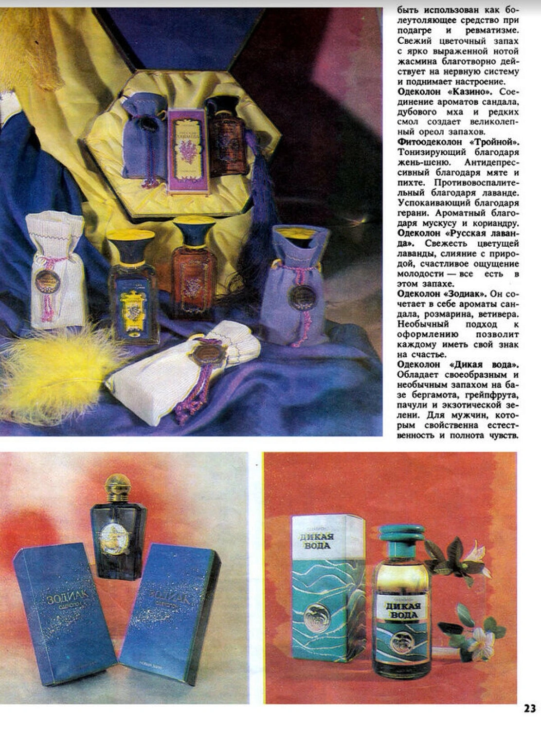 Novaya Zarya (Новая Заря) Русская Лаванда