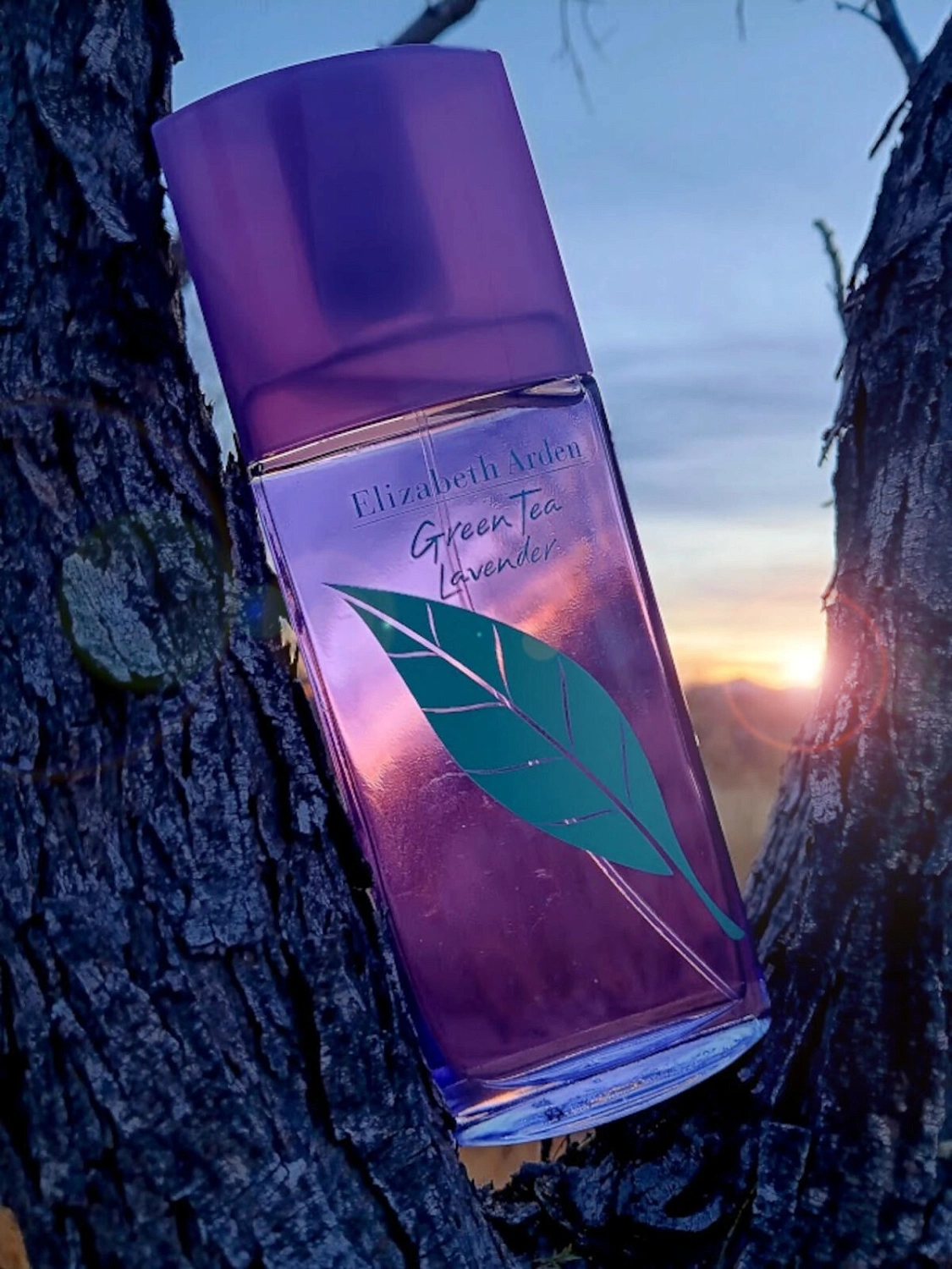 Elizabeth Arden Green Tea Lavender