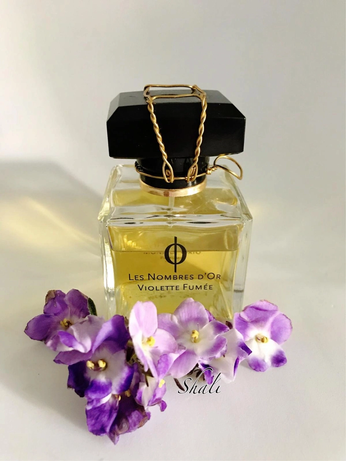 Mona di Orio Violette Fumee Mona di Orio Violette Fumee
