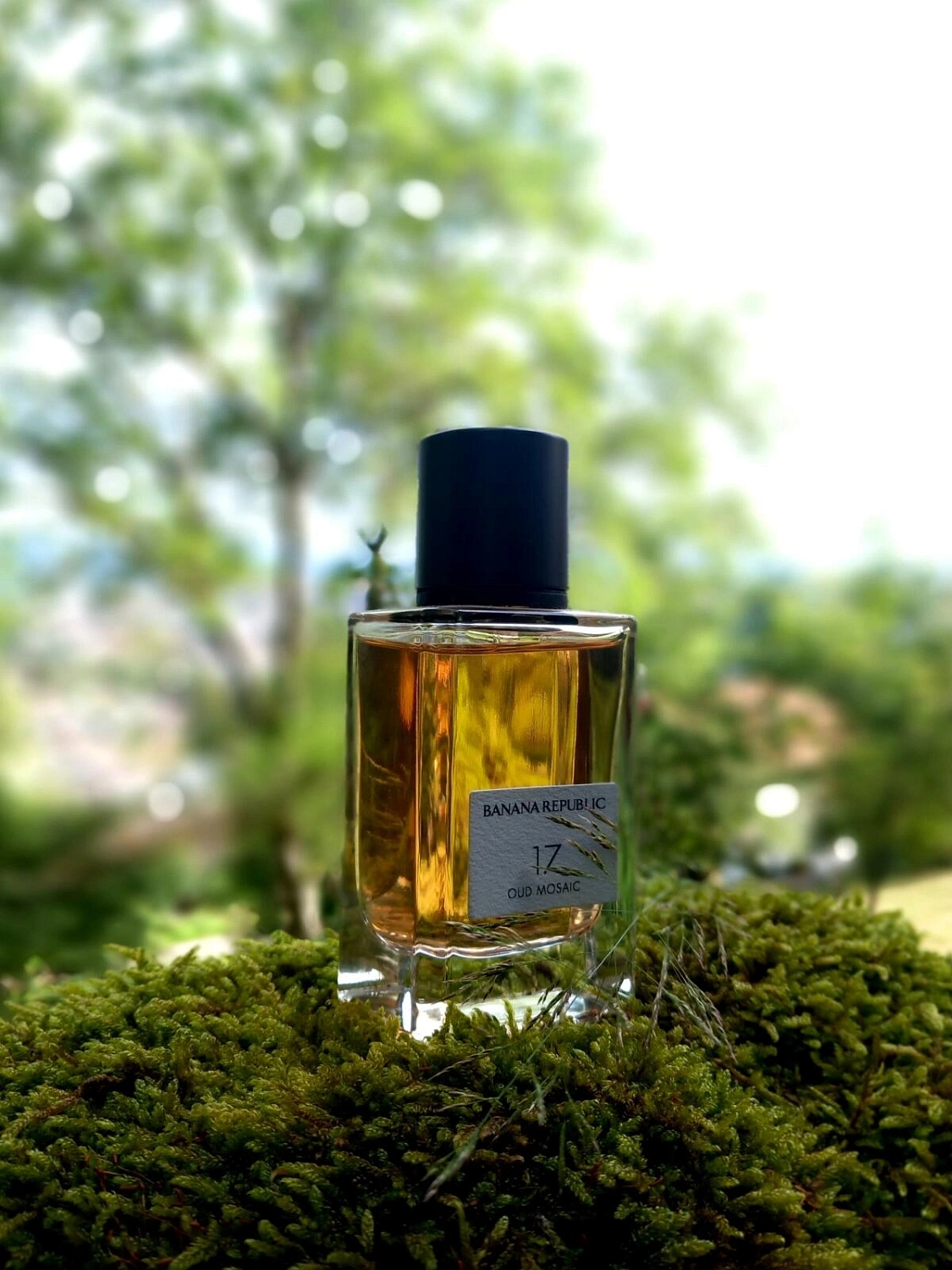 Banana Republic 17 Oud Mosaic