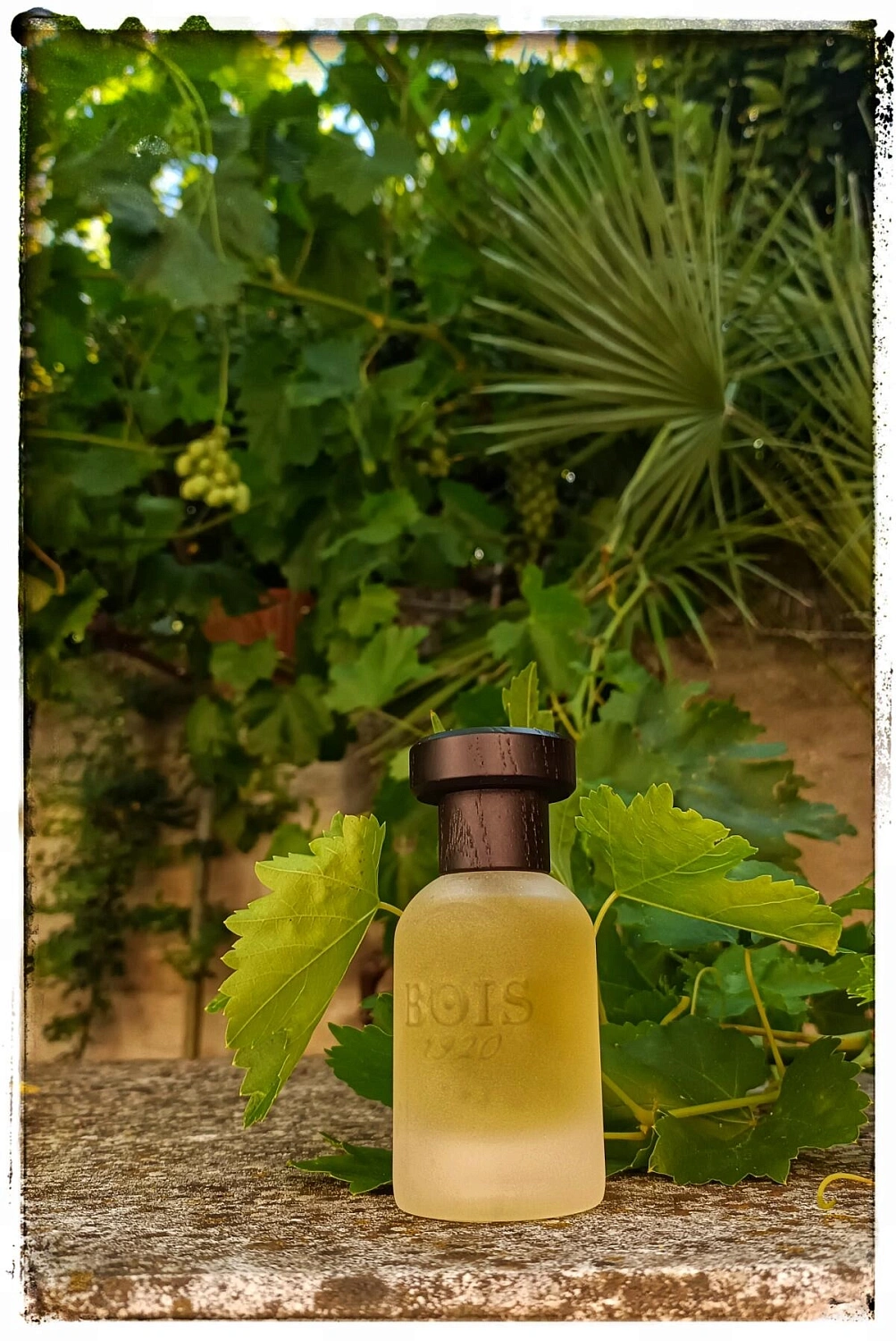 Bois 1920 Vetiver Ambrato Bois 1920 Vetiver Ambrato