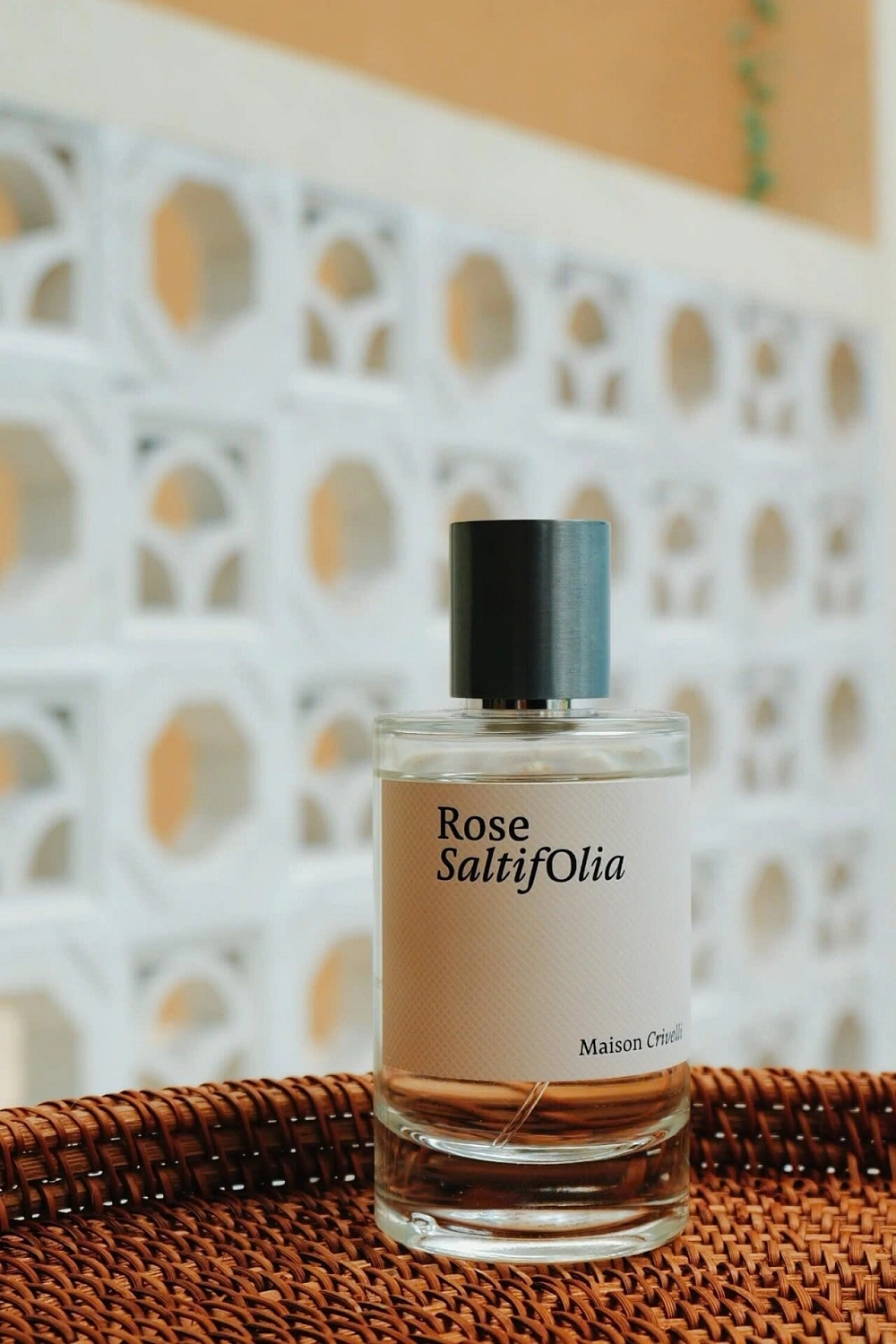 Maison Crivelli Rose SaltifOlia