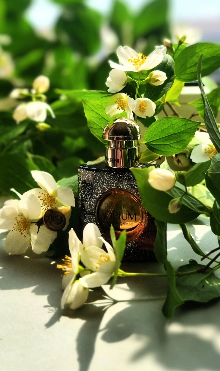 Yves Saint Laurent Black Opium Nuit Blanche Yves Saint Laurent Black Opium Nuit Blanche