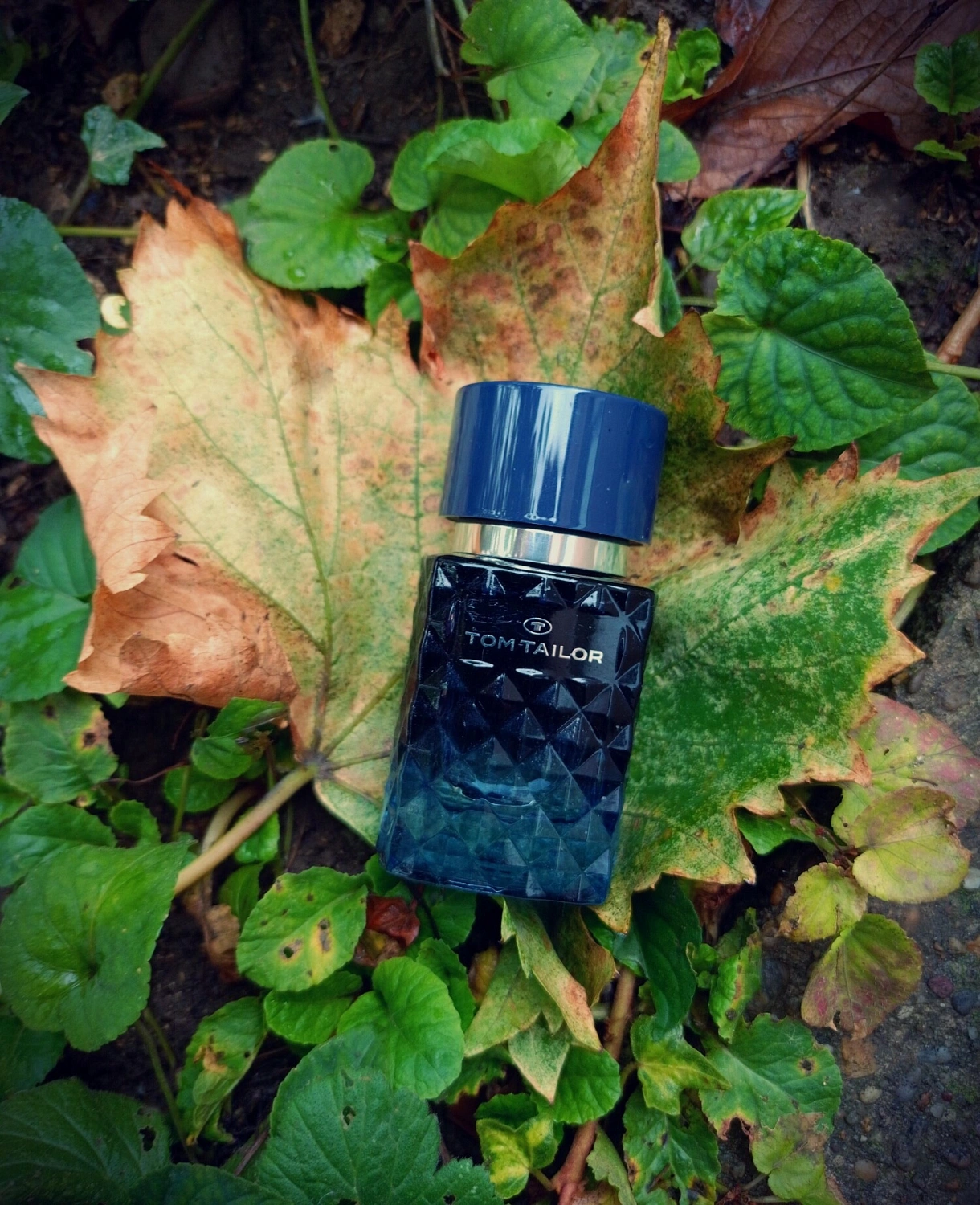 Tom Tailor For Him Eau de Toilette