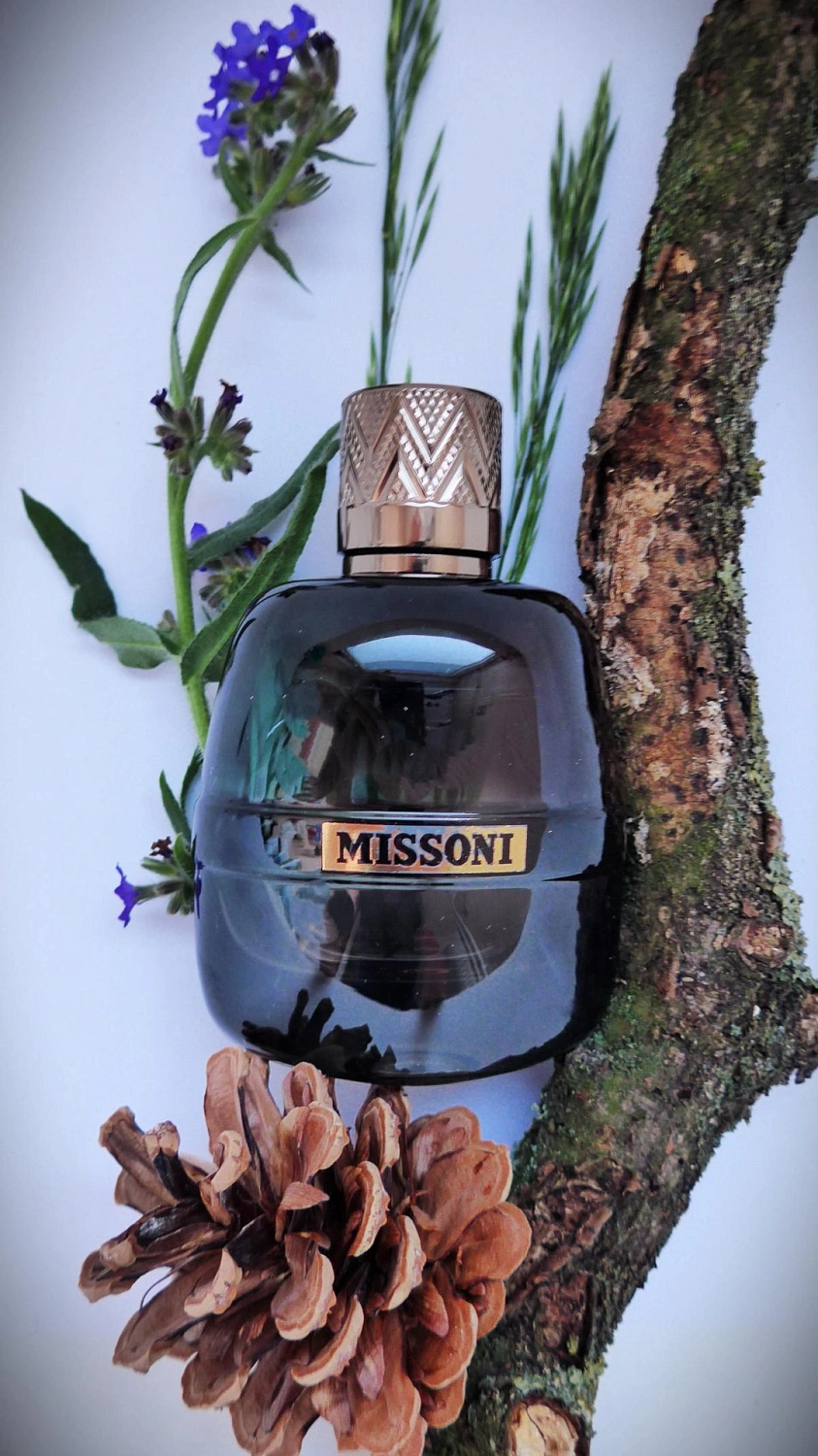 Missoni Parfum Pour Homme Missoni Parfum Pour Homme