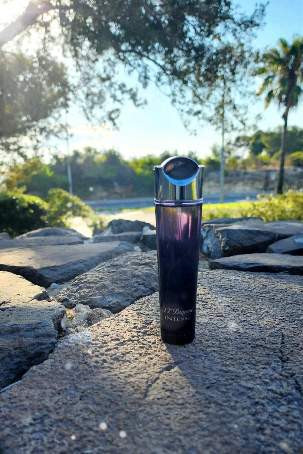 S.T.Dupont Intense Pour Femme