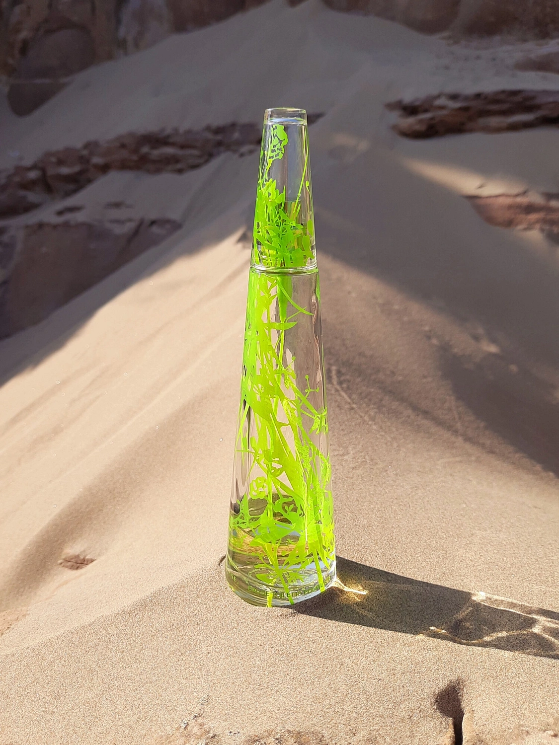 Issey Miyake L'eau d'Issey Summer 2007