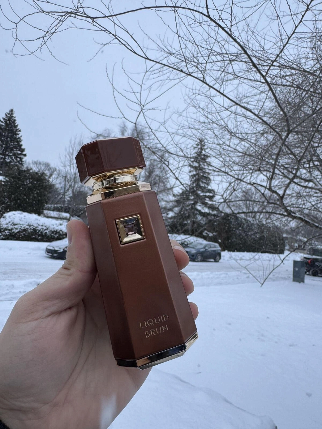 Fragrance World Liquid Brun