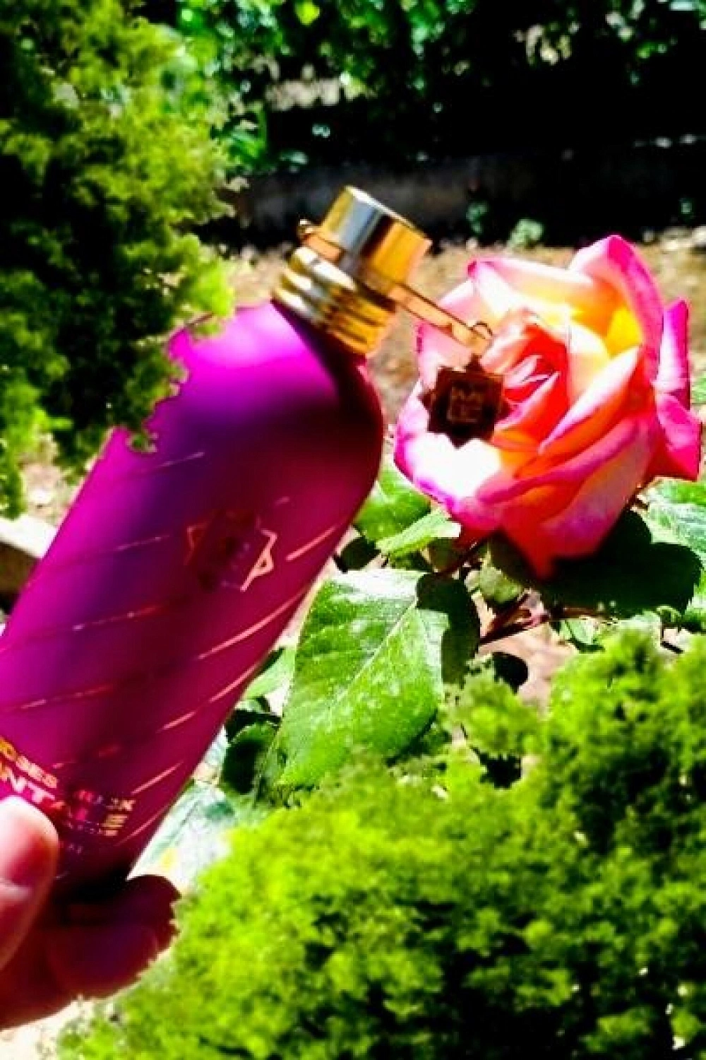 Montale Roses Musk