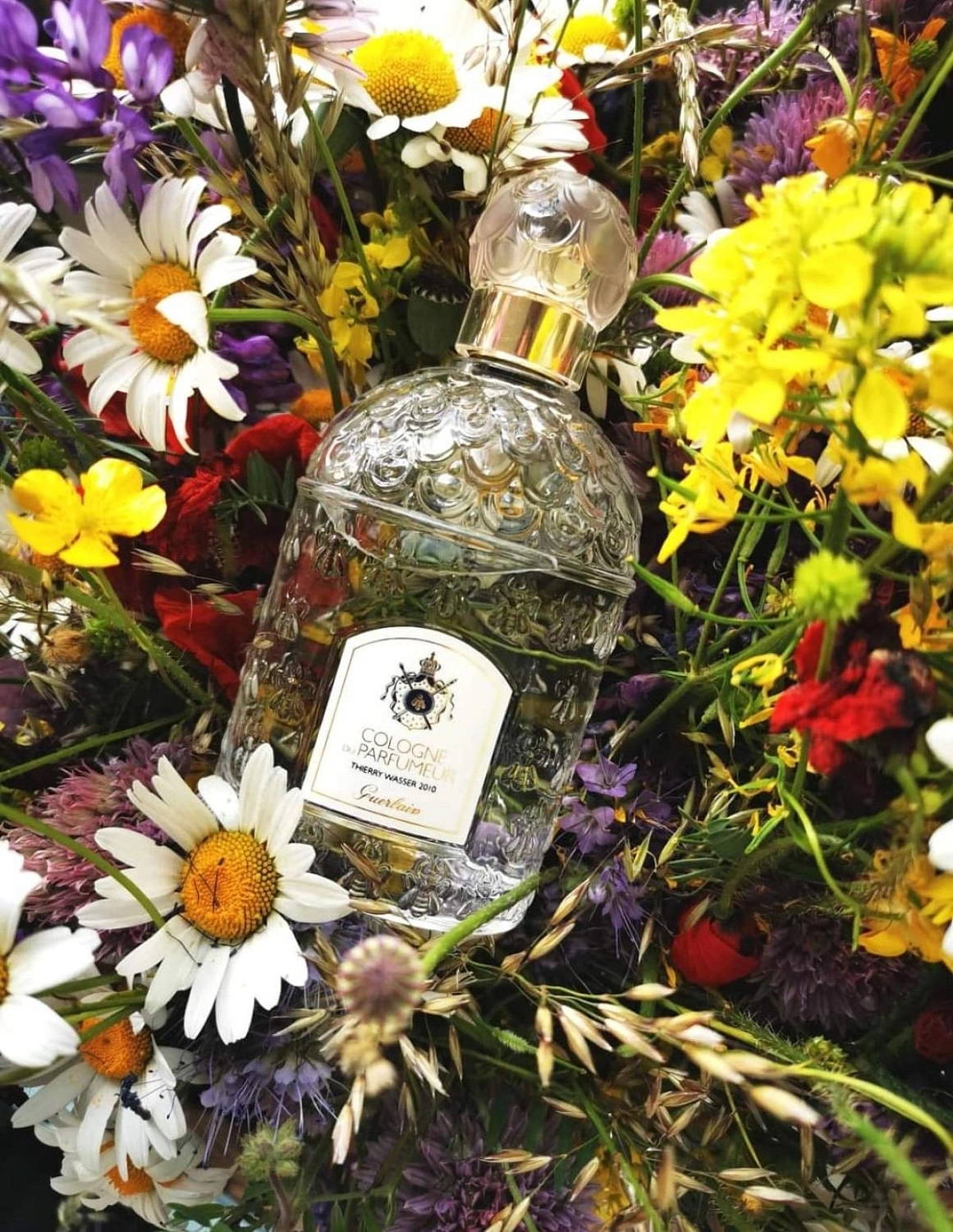 Guerlain La Cologne Du Parfumeur Guerlain La Cologne Du Parfumeur