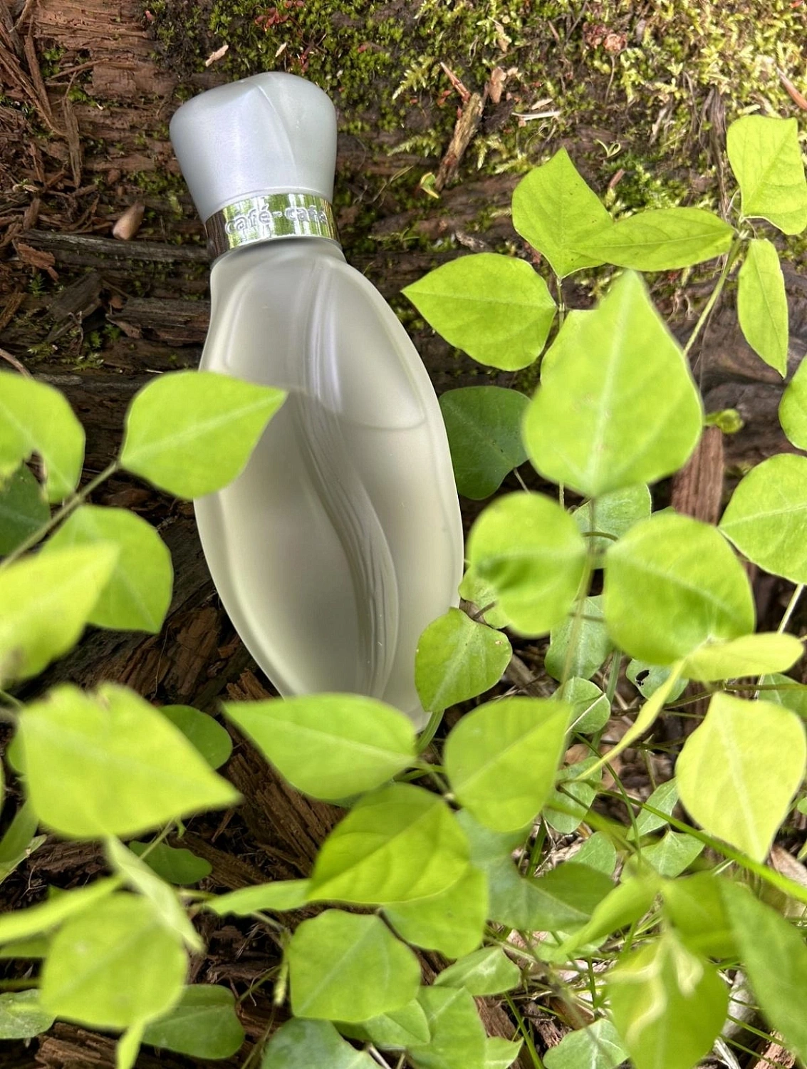 Cafe Parfums Cafe-Cafe Pour Homme