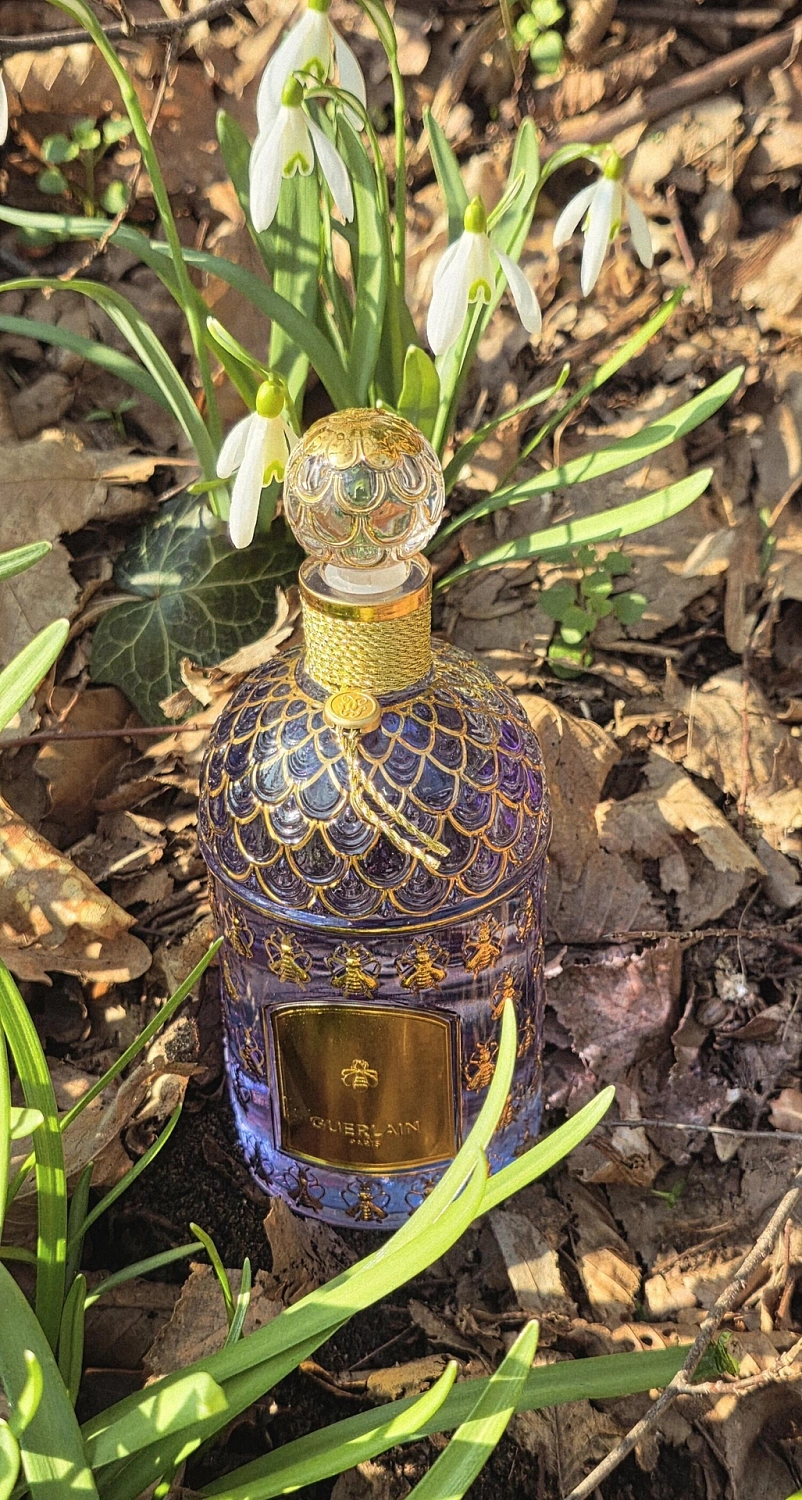 Guerlain Frenchy Lavande