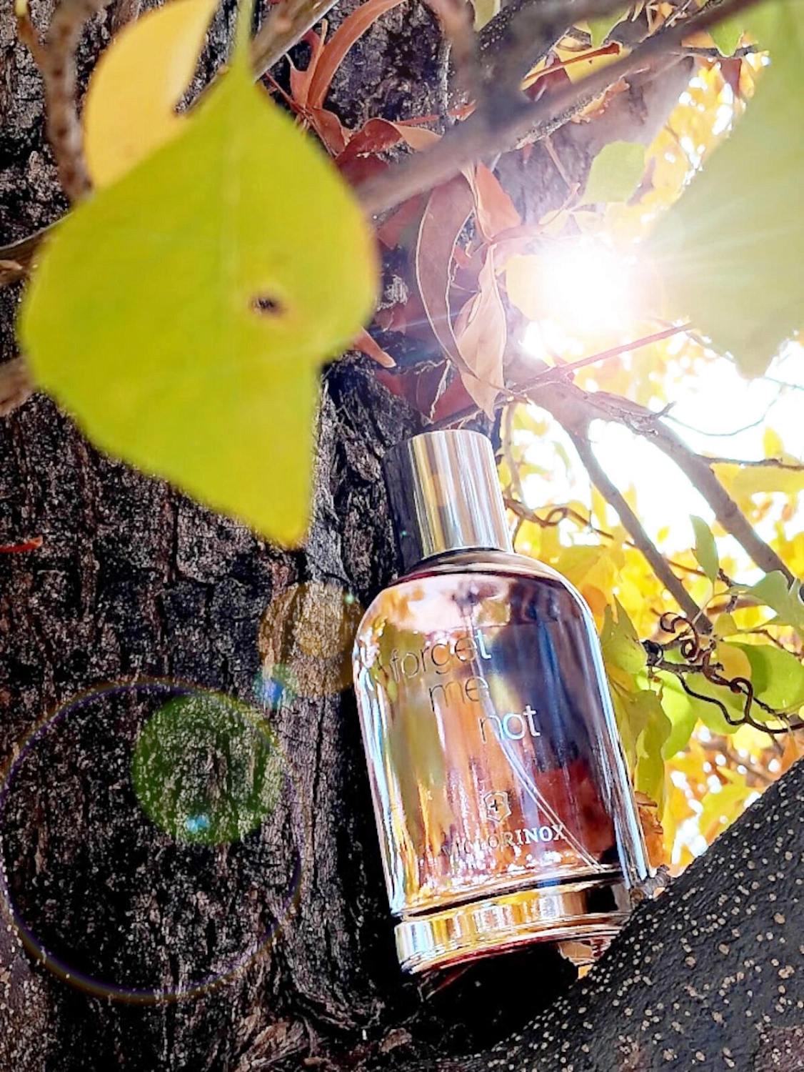 VICTORINOX Forget Me Not