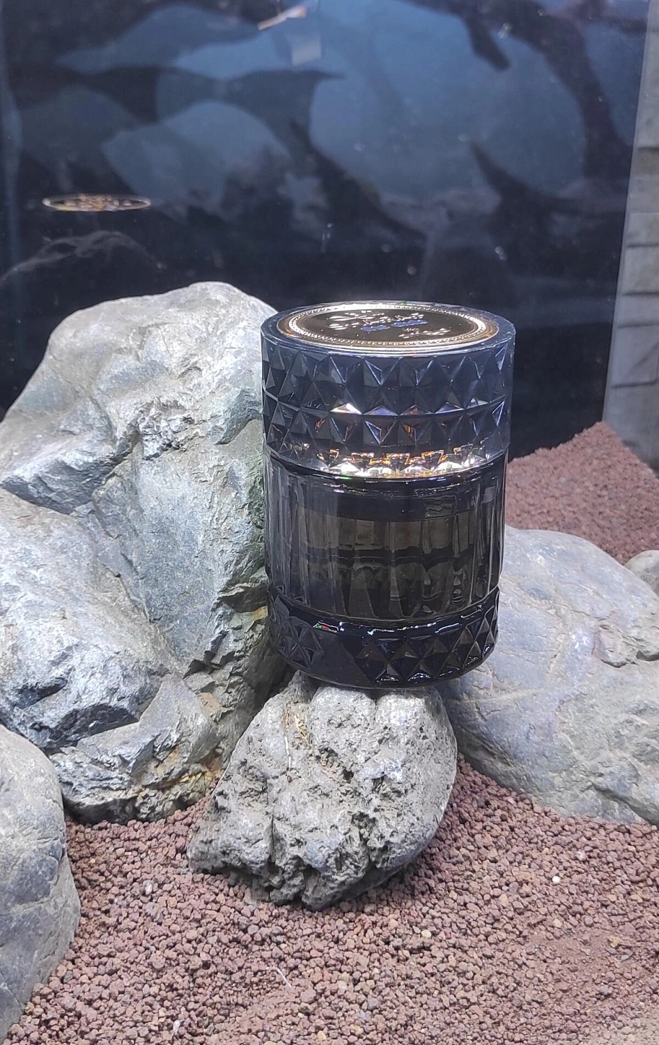 Zimaya Sharaf The Club