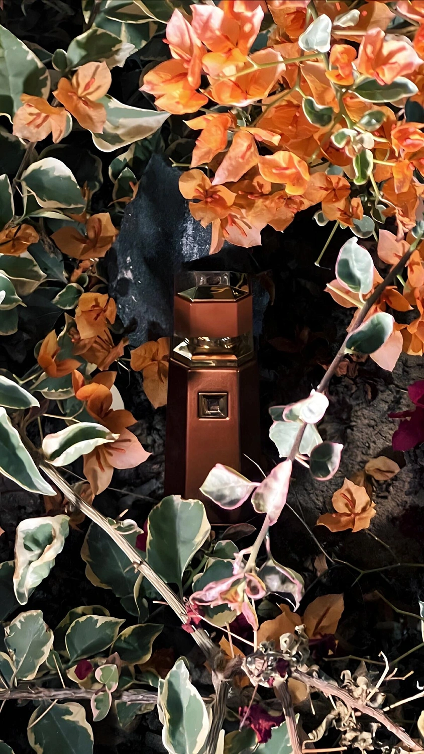 Fragrance World Liquid Brun