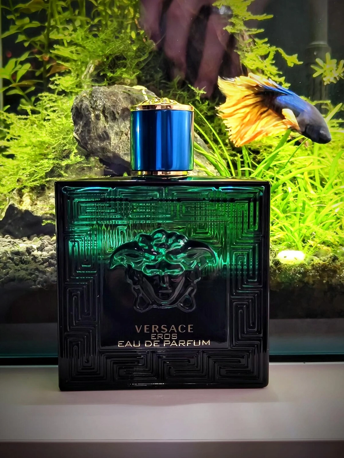 Versace Eros Eau De Parfum Versace Eros Eau De Parfum