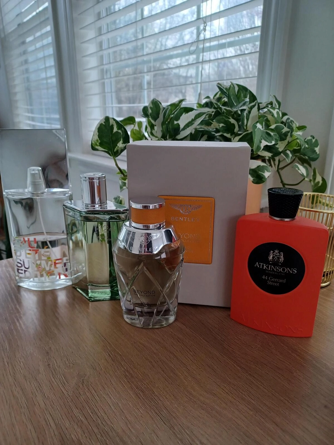 Hermès H24 Herbes Vives