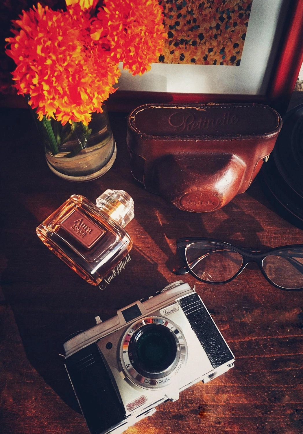 Aura Loewe Magnetica