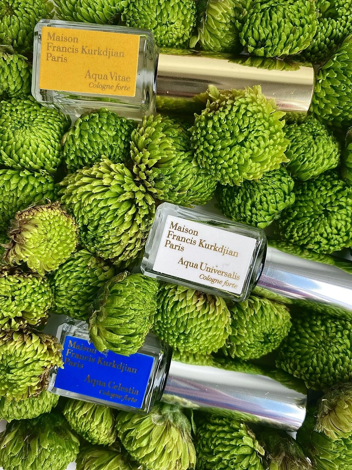 Maison Francis Kurkdjian Aqua Celestia Cologne Forte