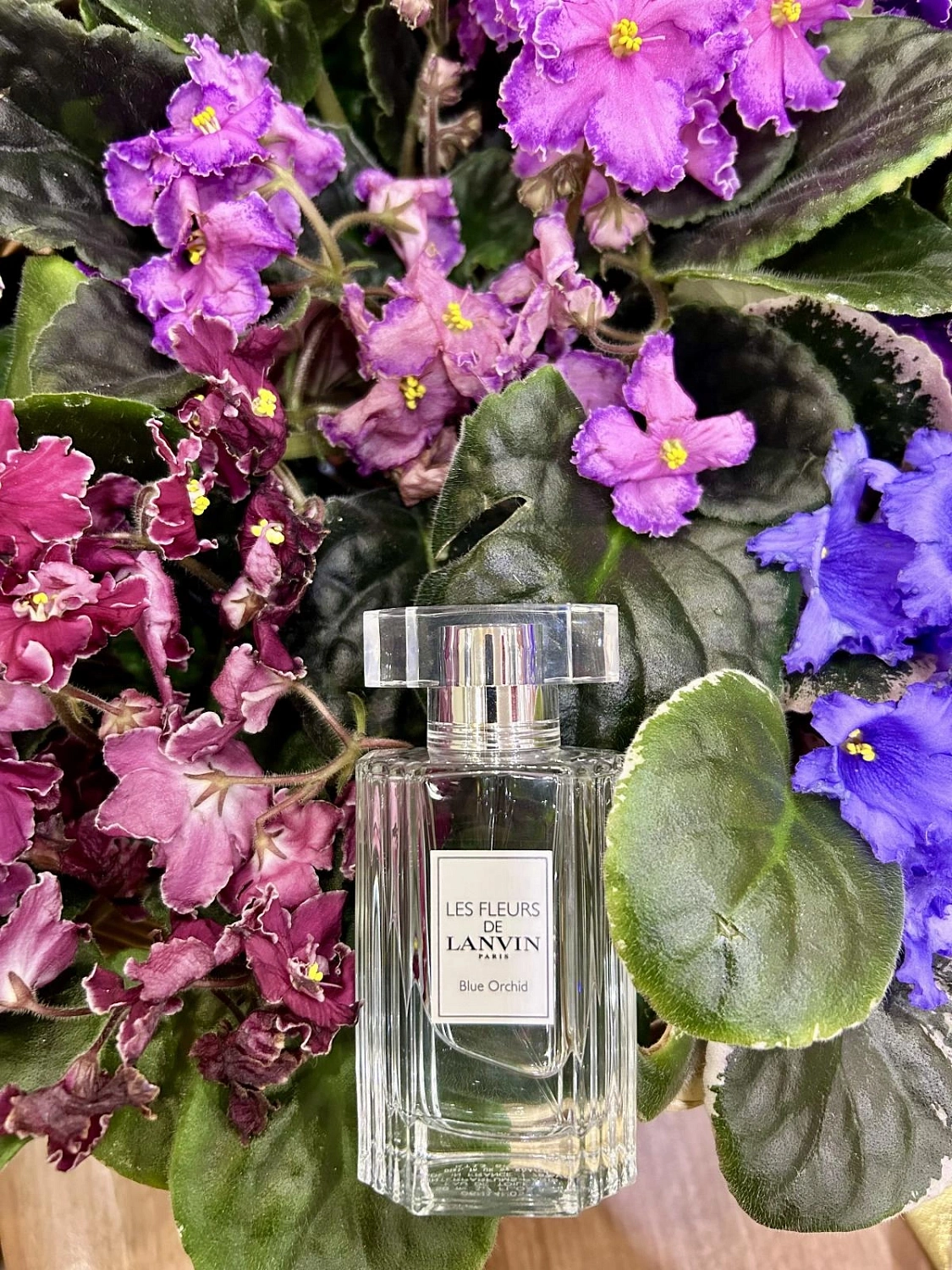 Lanvin Blue Orchid