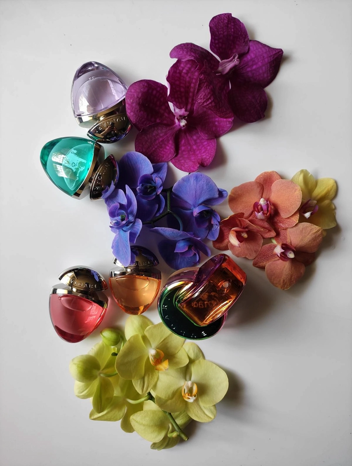 BVLGARI BLV Eau De Parfum 2 BVLGARI BLV Eau De Parfum 2