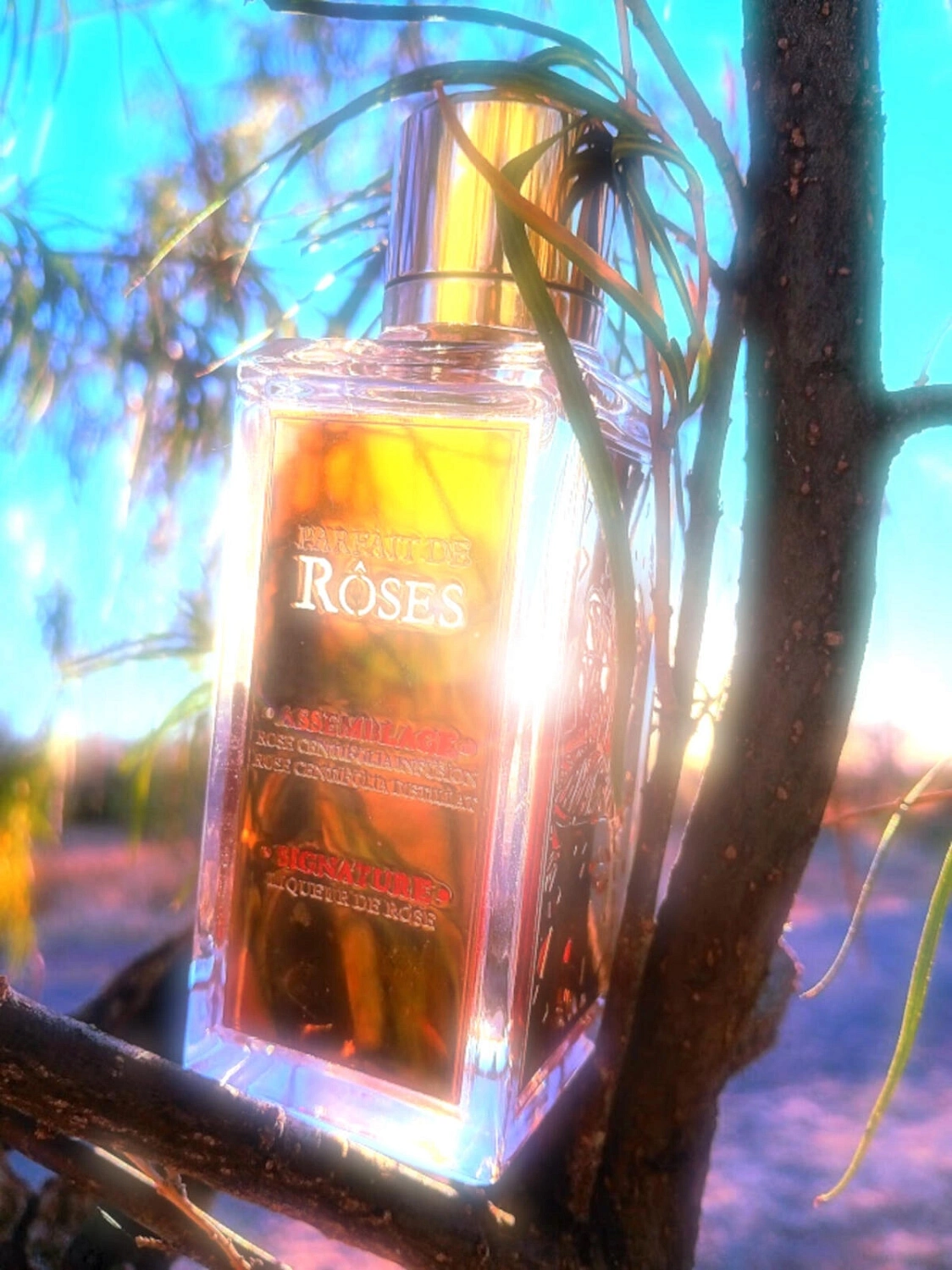 Lancome Parfait de Roses