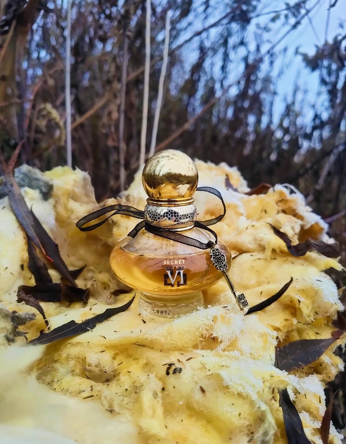 Eisenberg Cuir D'Orient Secret VI Eisenberg Cuir D'Orient Secret VI