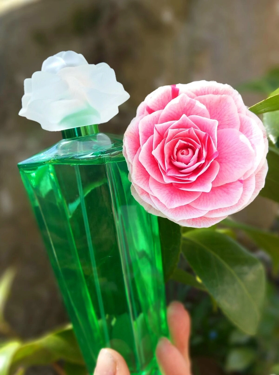 Elizabeth Taylor Gardenia