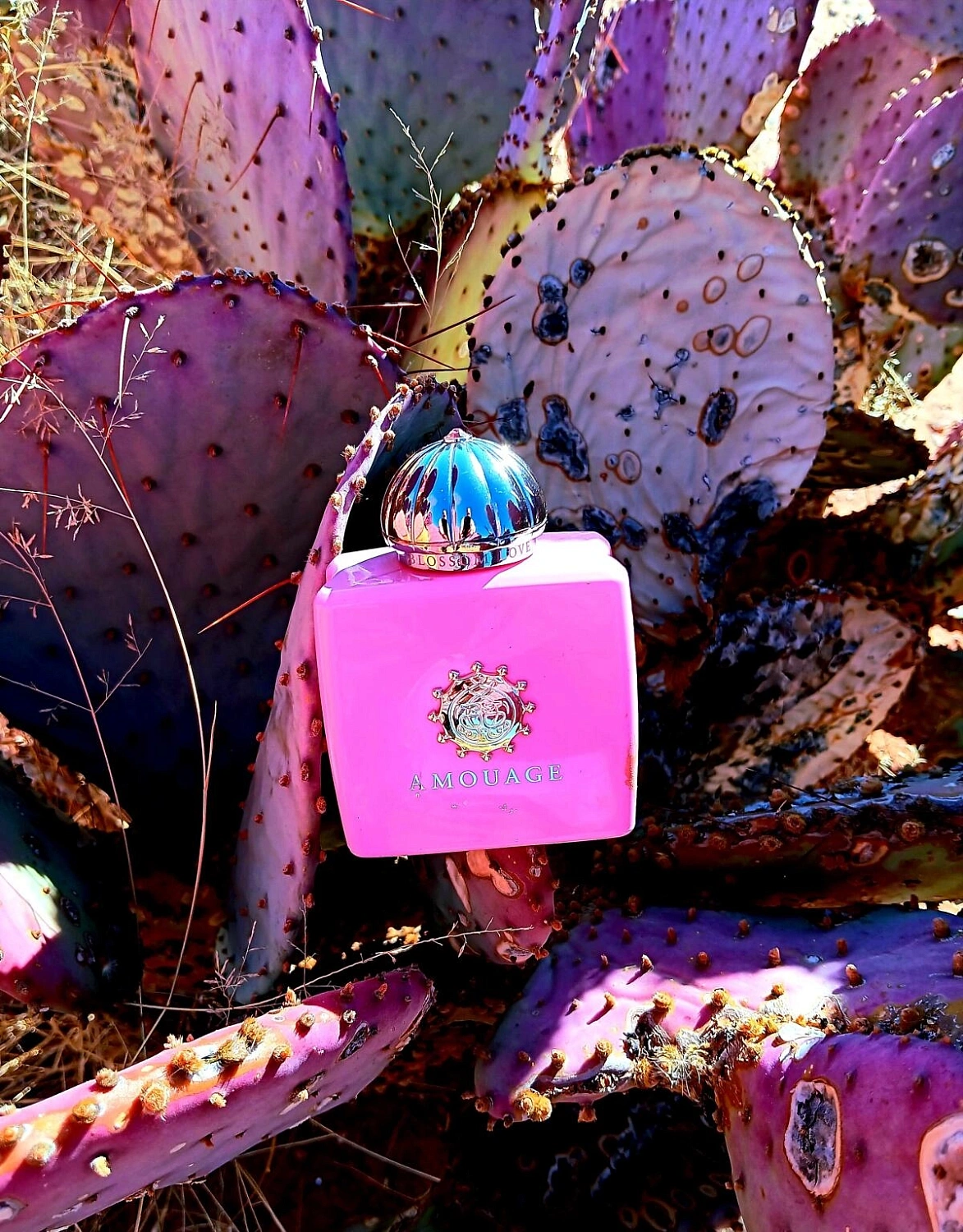 Amouage Blossom Love