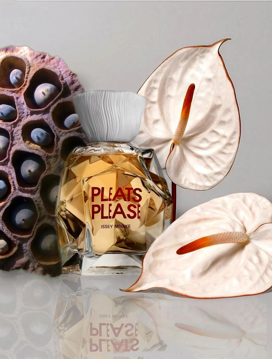 Issey Miyake Pleats Please