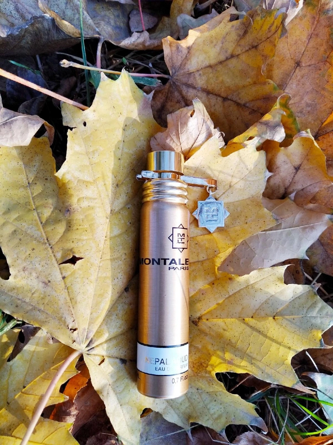 MONTALE Nepal Aoud