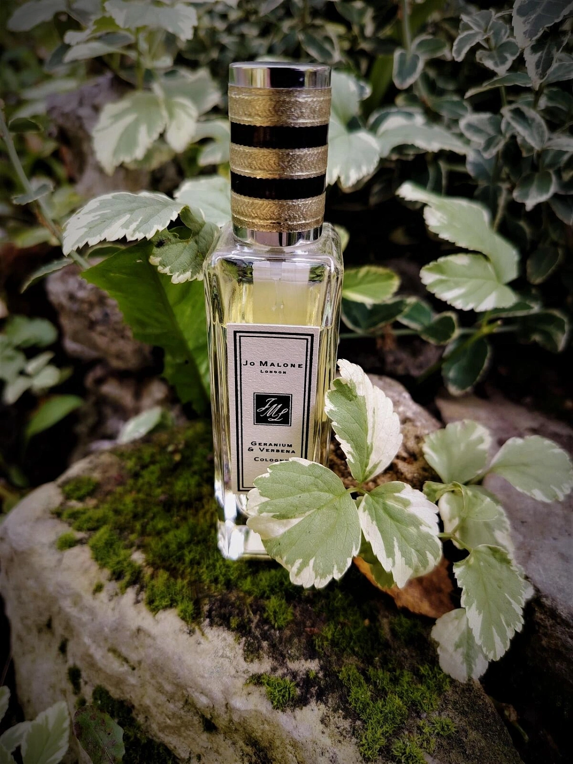 Jo Malone Geranium & Verbena