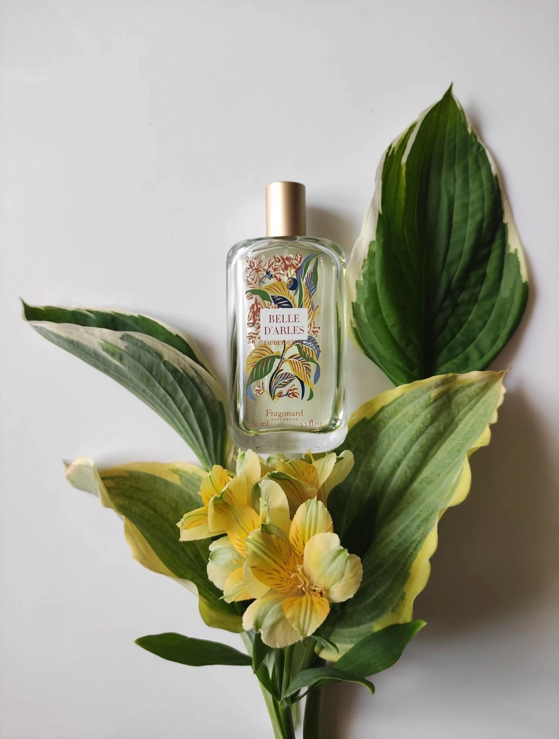 Fragonard Belle d'Arles