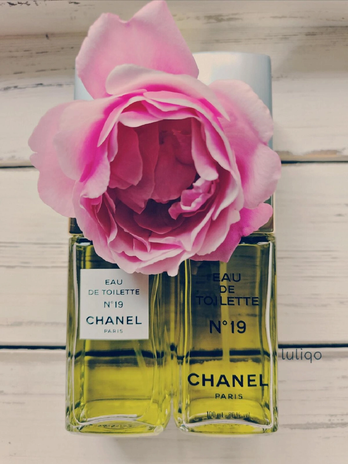 Chanel №19