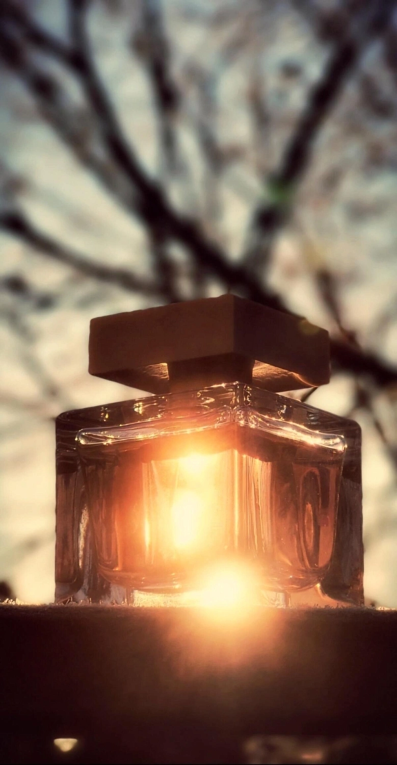 Narciso Rodriguez Narciso Eau de Parfum Cristal