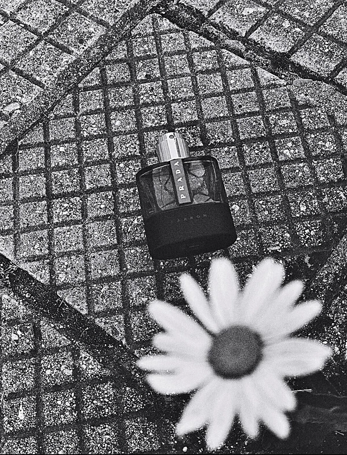 Prada Luna Rossa Carbon